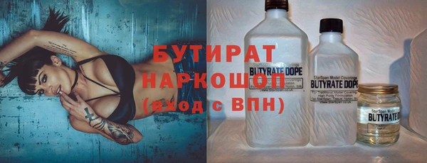дживик Инта