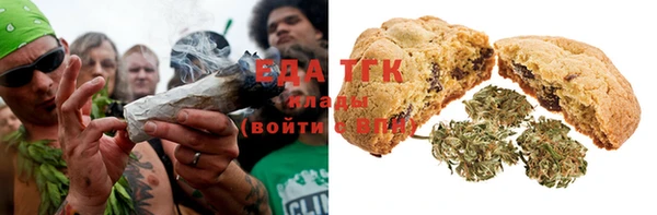 дживик Инта