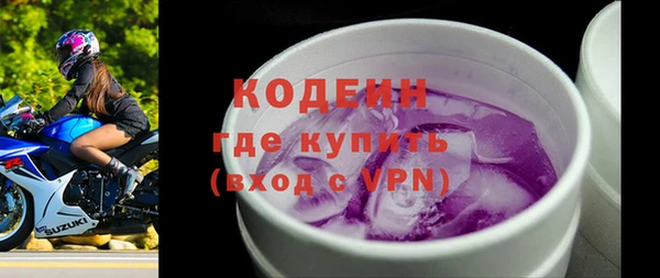 дживик Инта