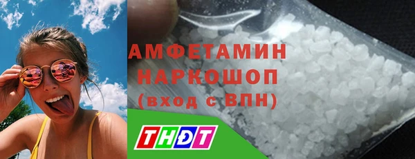 дживик Инта