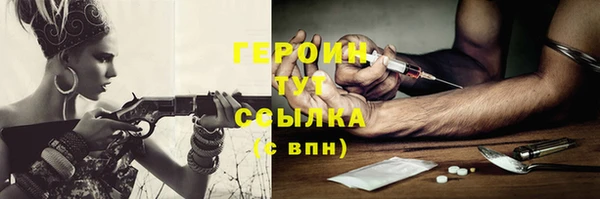 дживик Инта