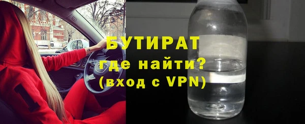 дживик Инта