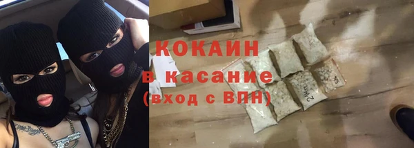 дживик Инта