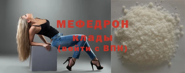 дживик Инта