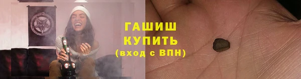 дживик Инта