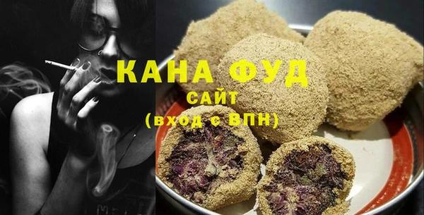 дживик Инта