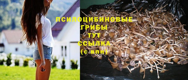 кристаллы Инсар