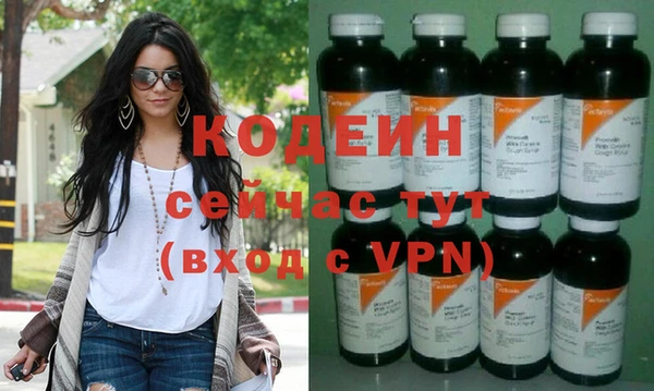 дживик Инта