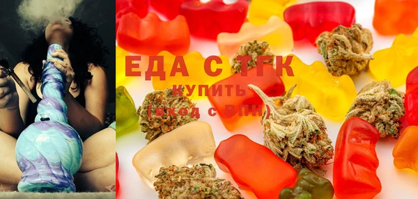 дживик Инта