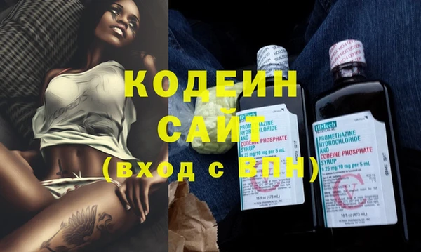 дживик Инта