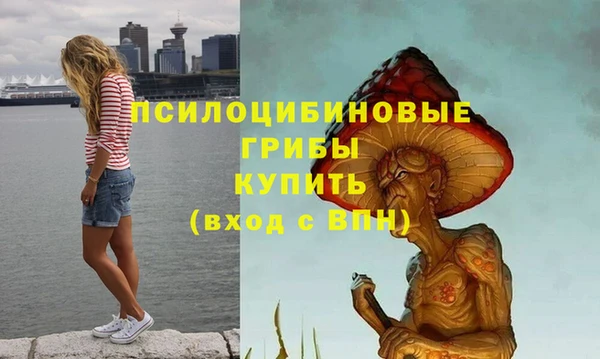 дживик Инта