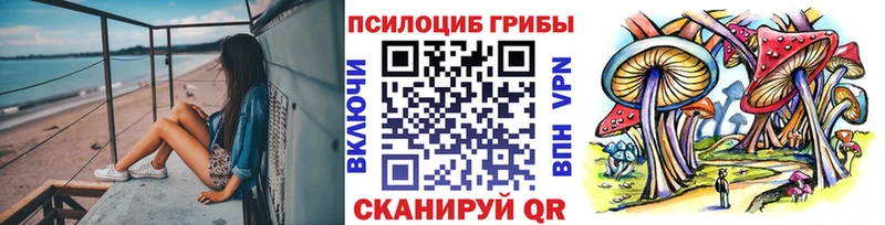 Купить где  Галич  Псилоцибиновые грибы Magic Shrooms 